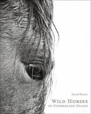 Wild Horses of Cumberland Island by Anouk Masson Krantz