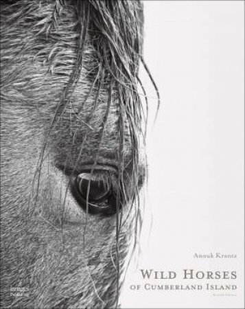 Wild Horses Of Cumberland Island by Anouk Masson Krantz