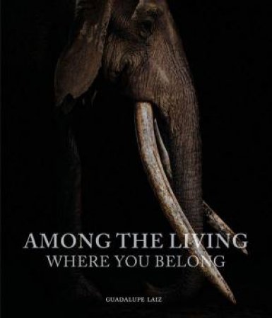 Among the Living: Where You Belong by GUADALUPE LAIZ