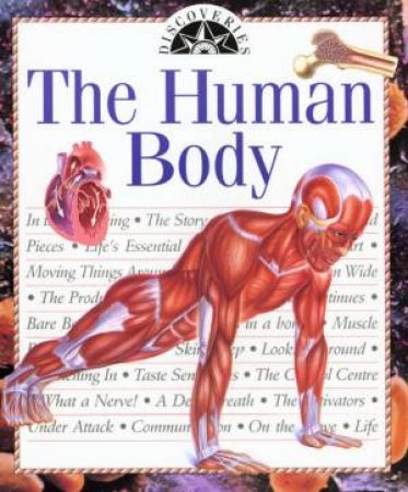 Discoveries: The Human Body by Dr Marie Rose