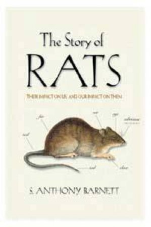 The Story Of Rats by S Anthony Barnett