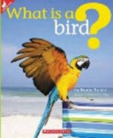 What Is A Bird? by Feana Tu'akoi