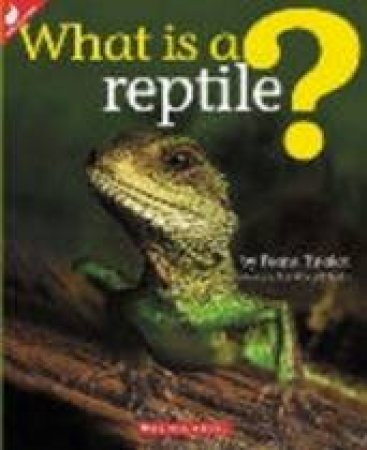 What Is A Reptile? by Feana Tu'akoi