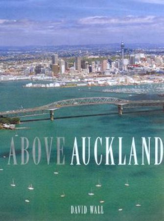 Above Auckland by David Wall