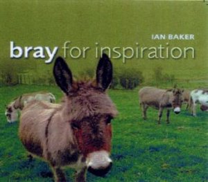 Bray For Inspiration by Ian Baker