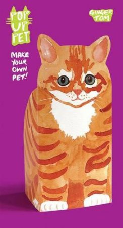 Pop Up Pet Ginger Tom by STREETEN ROZ