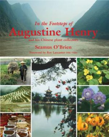 In the Footsteps of Augustine Henry by O'BRIEN SEAMUS