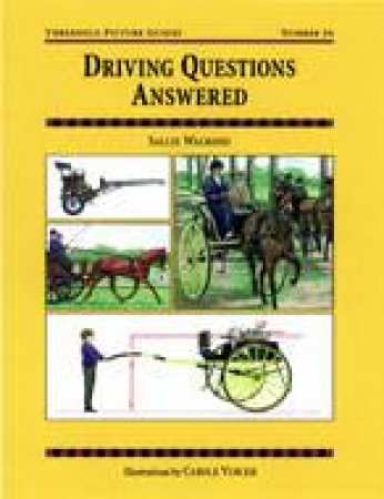 Driving Questions Answered: Threshold Picture Guide 34 by WALROND SALLY