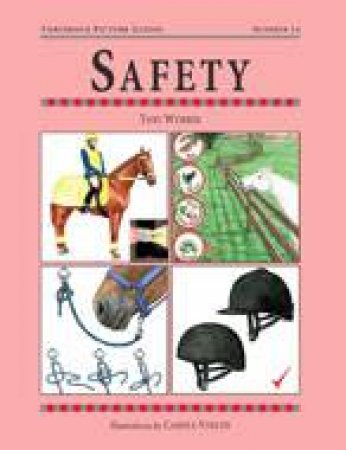 Safety: Threshold Picture Guide 14 by WEBBER TONI