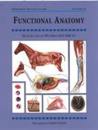 Functional Anatomy: Threshold Picture Guide 43 by COLLES DR CHRIS