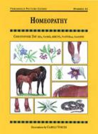 Homeopathy: Threshold Picture Guide 44 by DAY DR CHRIS