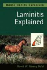 Laminitis Explained