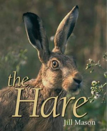 Hare by JILL MASON