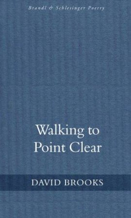 Walking To Point Clear by David Brooks