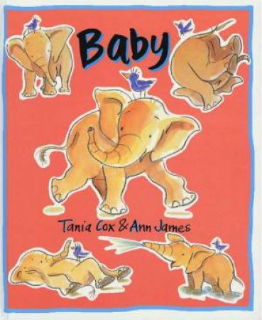 Baby by Tania Cox