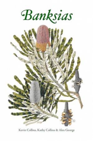 Banksias by Various