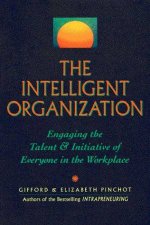 The Intelligent Organization