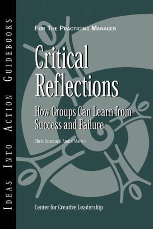 Critical Reflections: How Groups Can Learn From Success And Failure by Chris Ernst & Andrei Martin