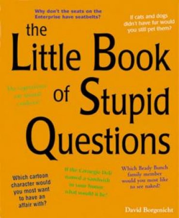 The Little Book Of Stupid Questions by David Borgenicht