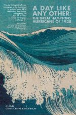 A Day Like Any Other  the Great Hamptons         Hurricane of 1938  a Novel