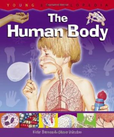 Human Body: Young Encyclopedia by BARNES K.