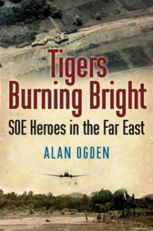 Tigers Burning Bright by Alan Ogden