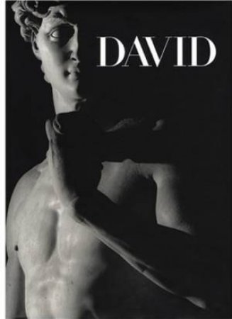 Michelangelo's David by Amendola A &