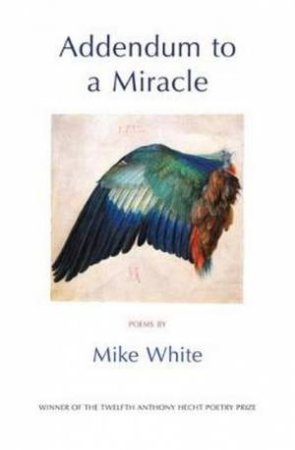 Addendum To A Miracle by Mike White