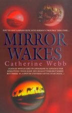 Mirror Wakes