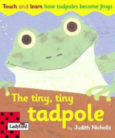 Touch And Learn: The Tiny, Tiny Tadpole by Judith Nicholls