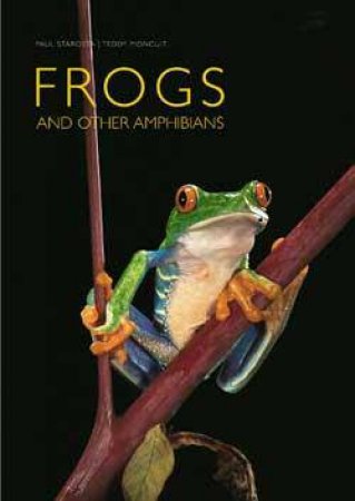 Frogs And Other Amphibians by Teddy Moncuit