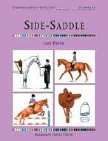 Side-saddle: Threshlod Picture Guide No. 53 by PRYOR JANE