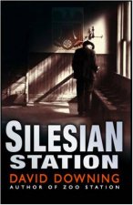 Silesian Station