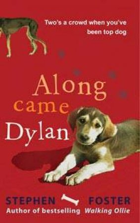 Along came Dylan by Stephen Foster