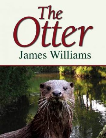 Otter by JAMES WILLIAMS