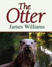 Otter