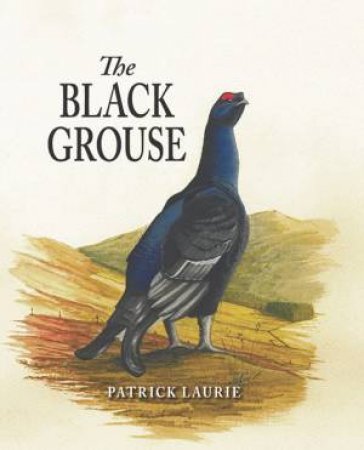 Black Grouse by PATRICK LAURIE