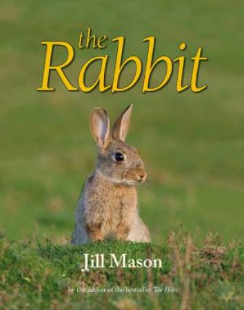 Rabbit by JILL MASON