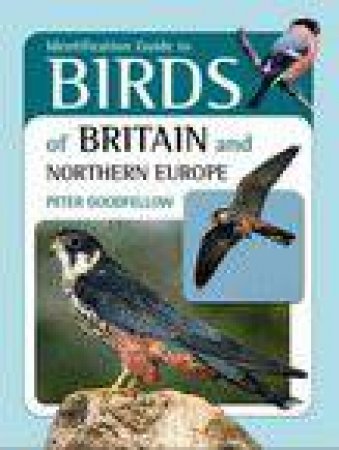 Identification Guide to Birds of Britain and Northern Europe by Peter Goodfellow & Paul Sterry 