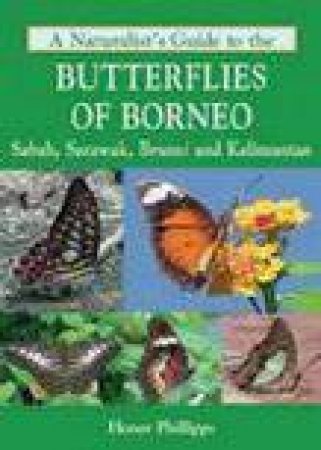 A Naturalist's Guide To The Butterflies Of Borneo by Honor Phillips