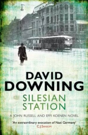 Silesian Station by DOWNING DAVID