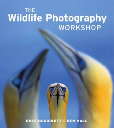 Wildlife Photography Workshop by HODDINOTT / HALL