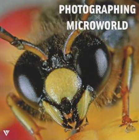 Photographing Microworld by Svetlana Belorustseva