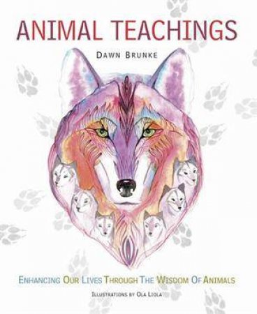 Animal Teachings by Dawn Brunke