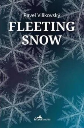 Fleeting Snow by Pavel Vilikovsky