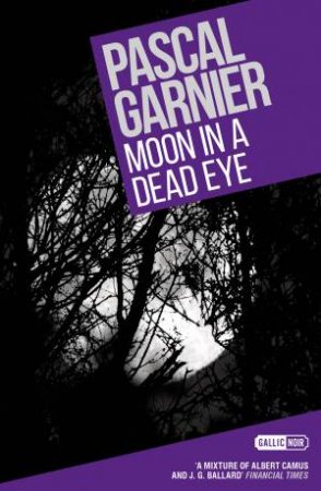 Moon In A Dead Eye by Pascal Garnier 