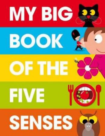 My Big Book Of The Five Senses by Various