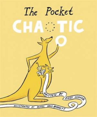 The Pocket Chaotic by Ziggy Hanaor & Daniel Gray-Barnett