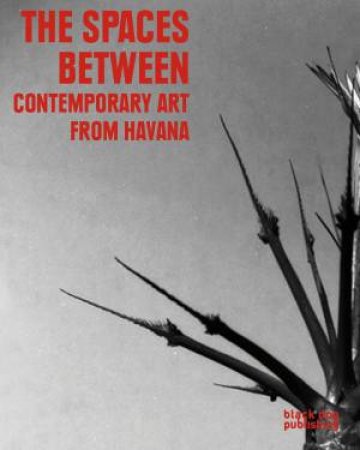 Spaces Between: Contemporary Art from Havana by WALLACE KEITH