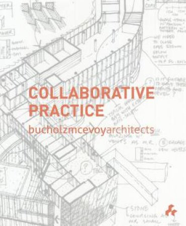 Bucholz McEvoy Architects: Collaborative Practice by Ryan Ray & Lytle Shaw